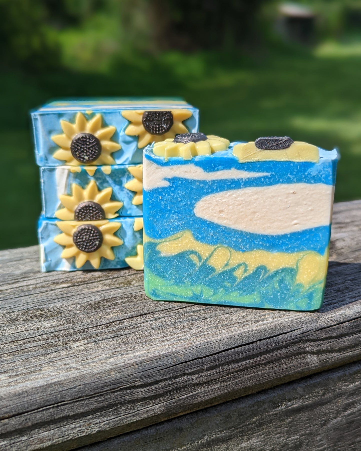 Sunflower Fields