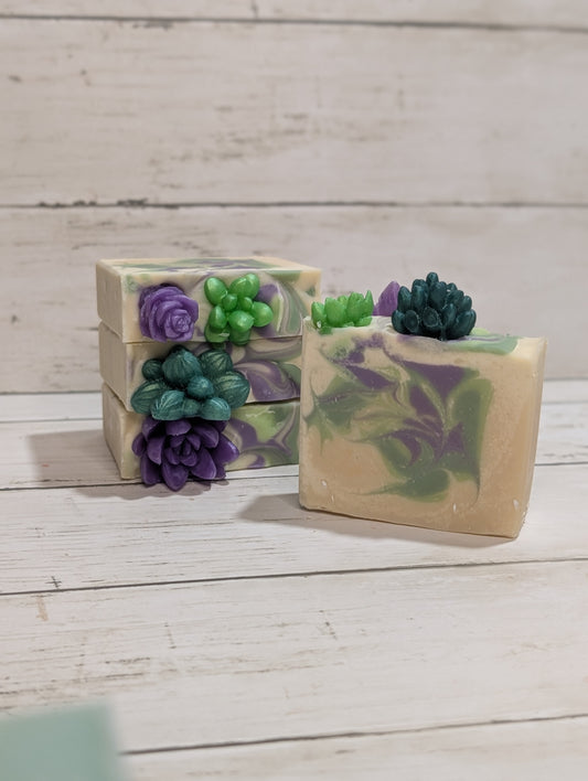 Cactus & Dewberry
