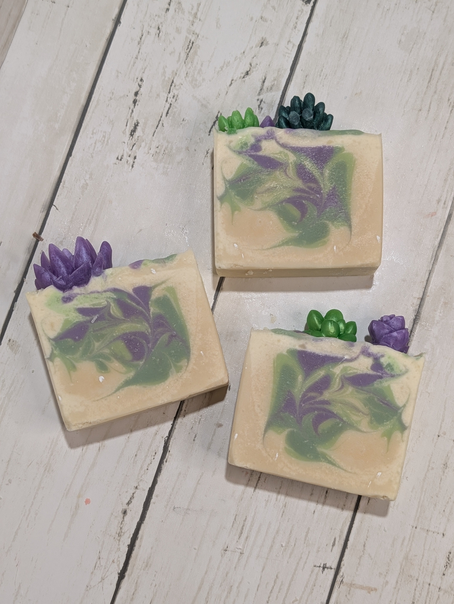 Cactus & Dewberry